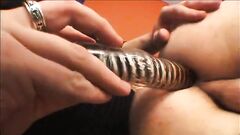 ❤️  Sweetie  ❤️